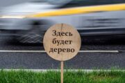В Москве запустят акселератор для бизнеса из сфер «социалки» и экологии — Капитал