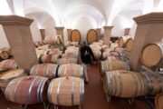 Организатор винных туров рассказала о перспективах винного туризма Кубани — Капитал
