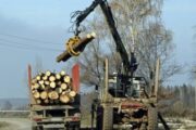 В России озаботились контрабандой древесины в Китай, который продает ее обратно втридорога